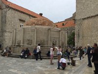 2017-05-06 16-51-48 527688a7  old cistern, now site for parrots